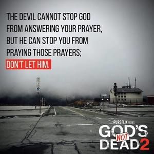 Meet your Posher, Regina